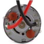 Dynamite 13T 550 Brushed Motor DYNS1213