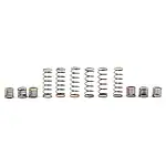RR Spring Assortment for 635901 PowerStroke Shock