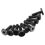 Axial Hex Socket Oversize Head 3x10mm (10) AXIC1009