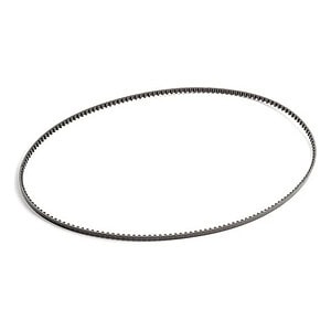 Team Associated Front Belt