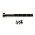 Team Associated Motor Clamp Spring & Screw (TC3)