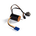 Spektrum 6000Kv Brushless Motor/ESC 2n1 Losi Mini SPMXSEM0501