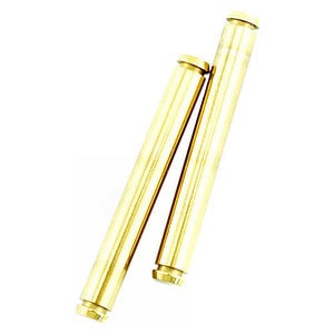 Losi Outer Hinge Pins TINI LST 2 LOSB4103